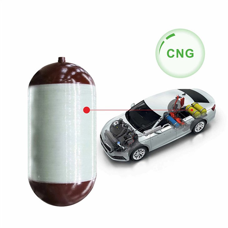 CNG2-Cylinder-Vehicle (8)